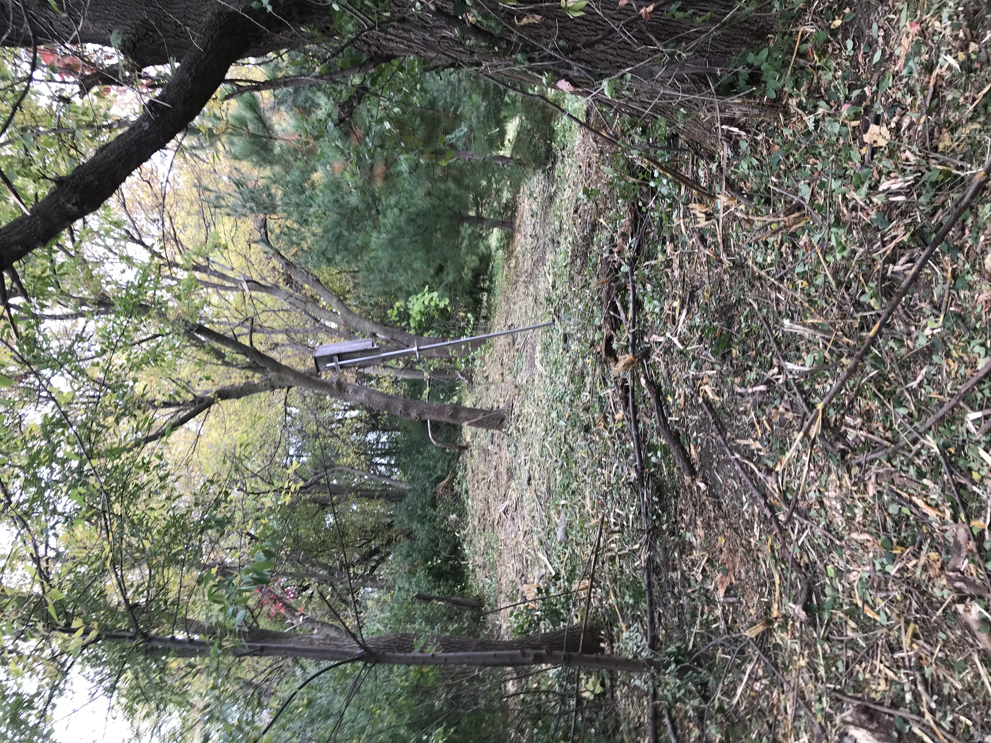 Mowing Before