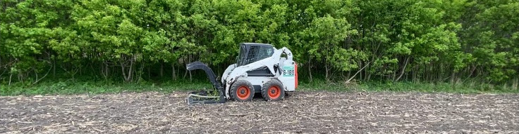 BobCat
