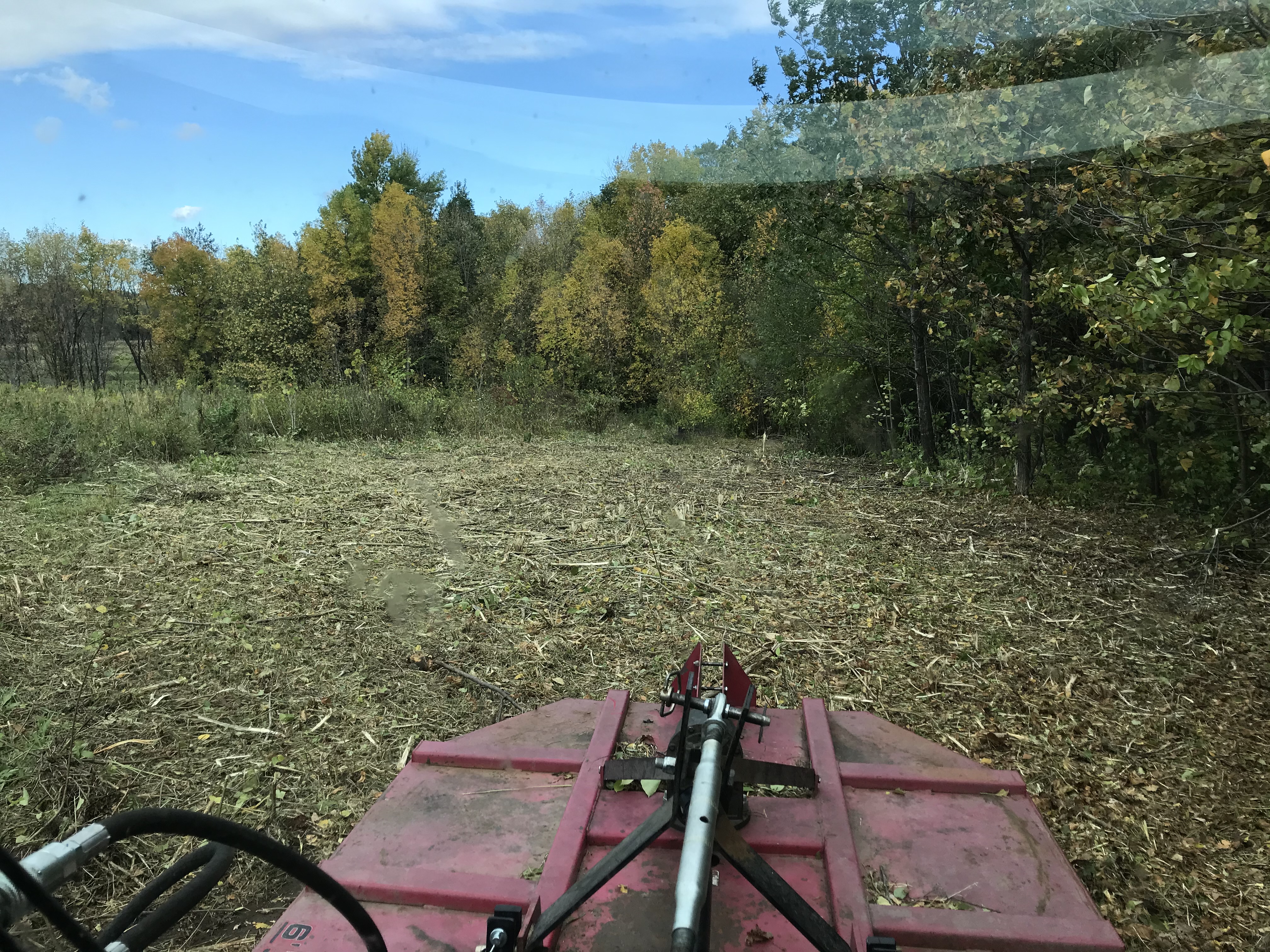 Mowing Before