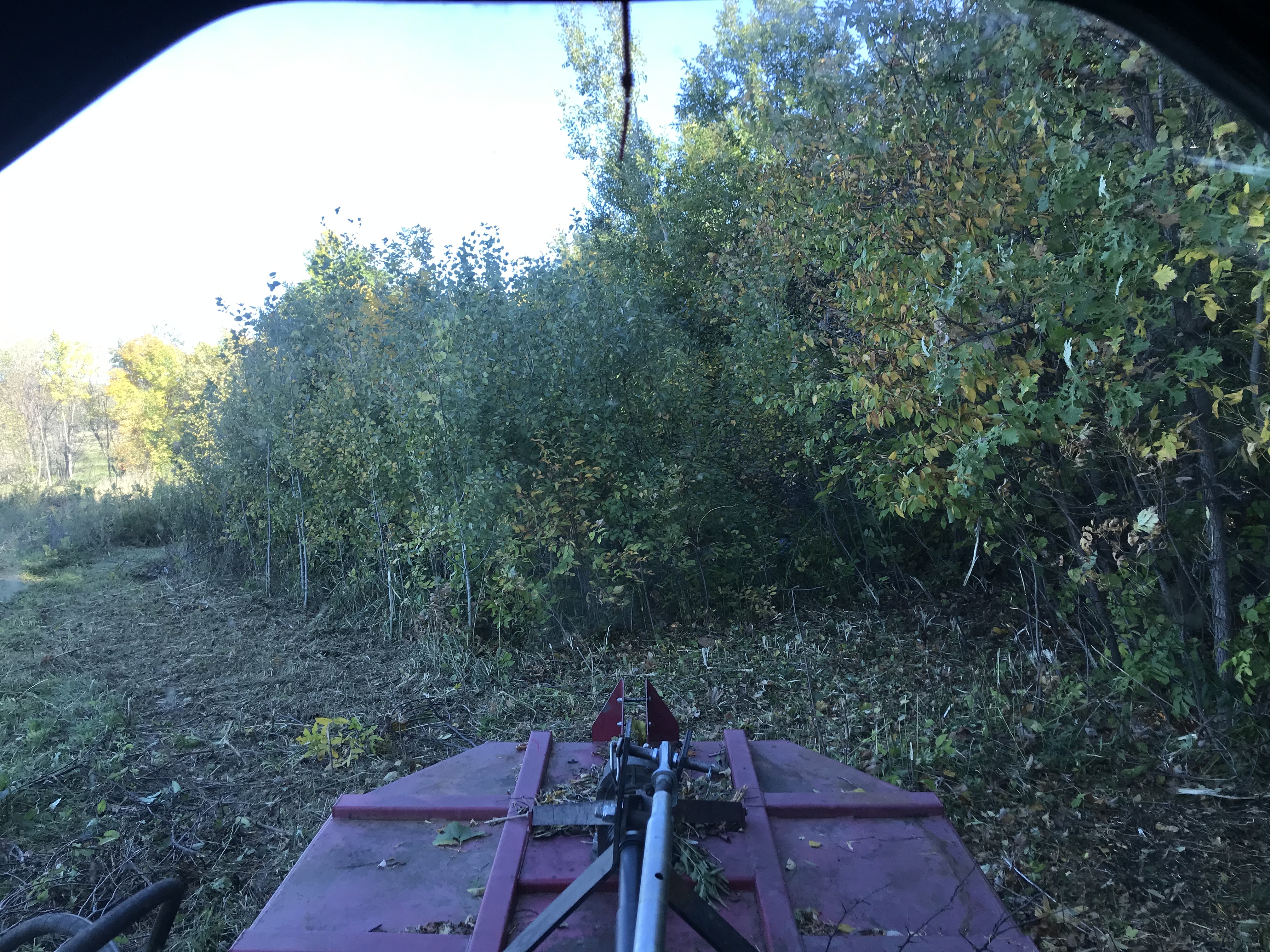 Mowing Before
